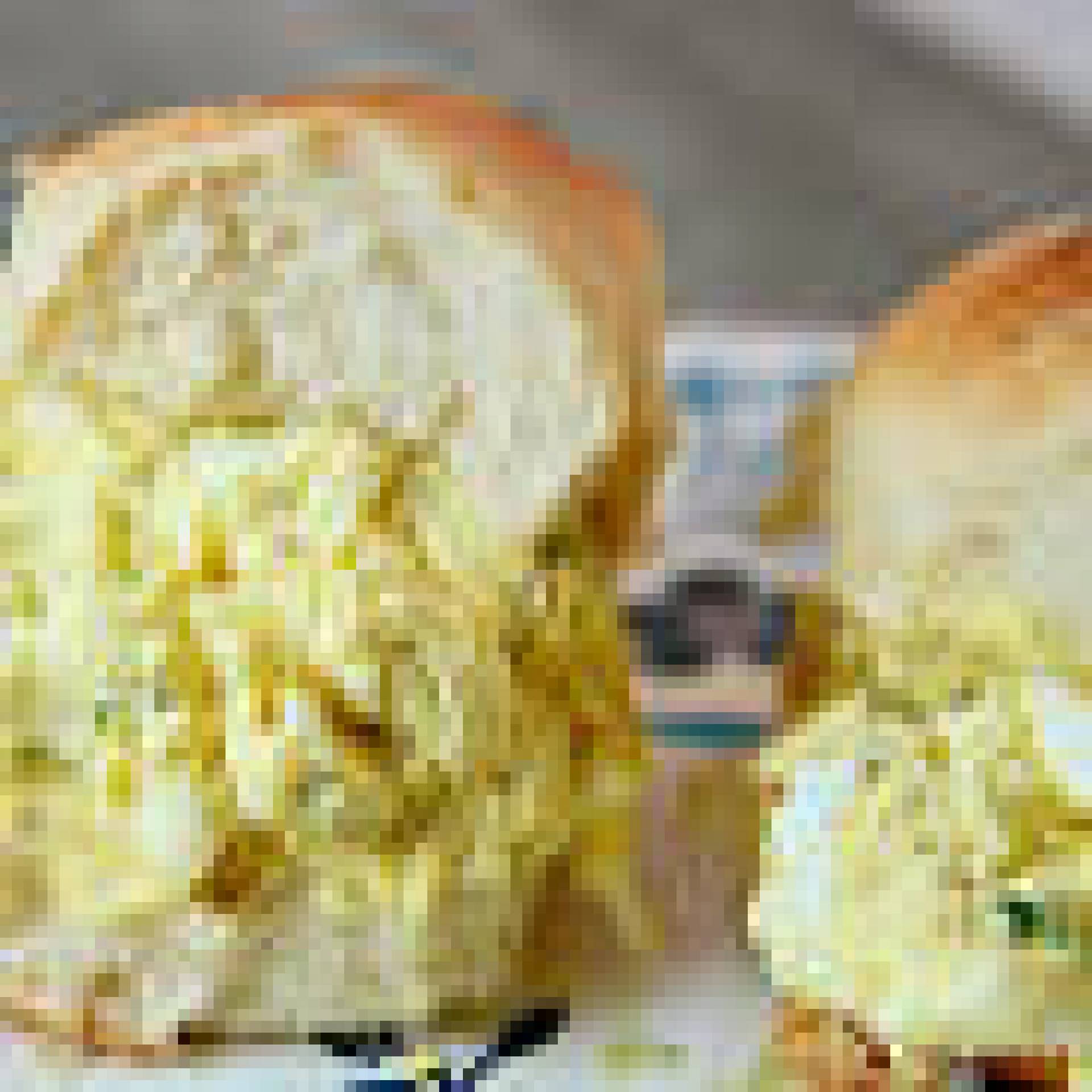 Egg Salad Slider on Hawaiian Roll