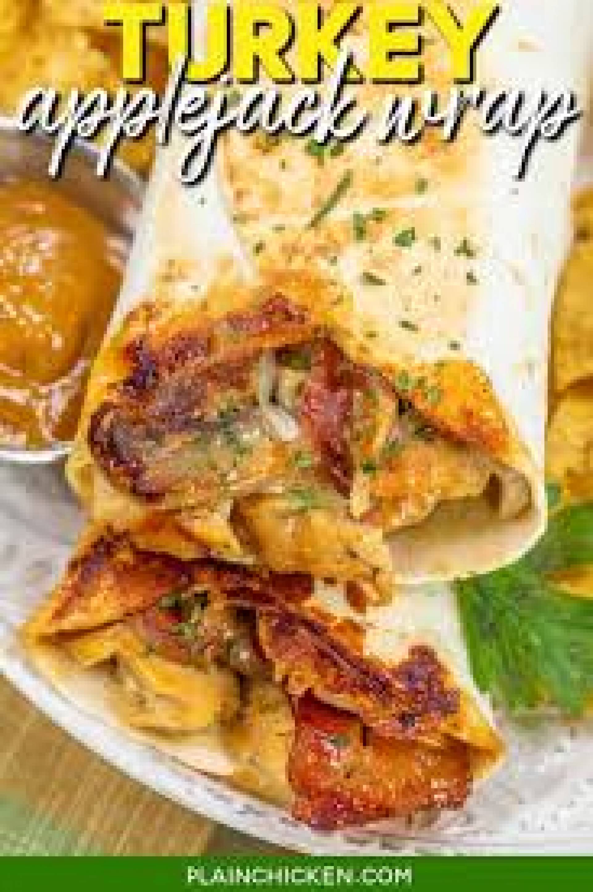 Grilled Turkey Enchilada Wrap
